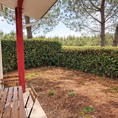 T2 Lumineux, Jardin Prive Et Piscine * Bias (Landes)
